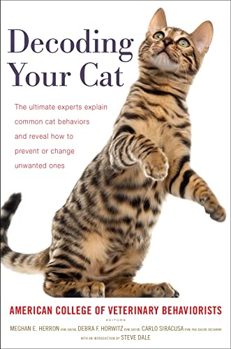 Rabid Cat Behavior