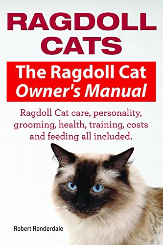 Ragdoll Cat Breeder Florida