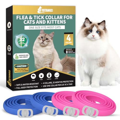 Safe Flea Collars for Cats