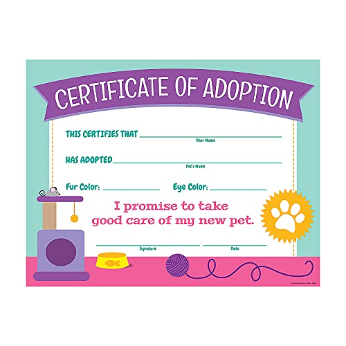 San Jose Cat Adoption