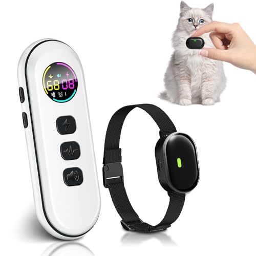 Shock Collars for Cats