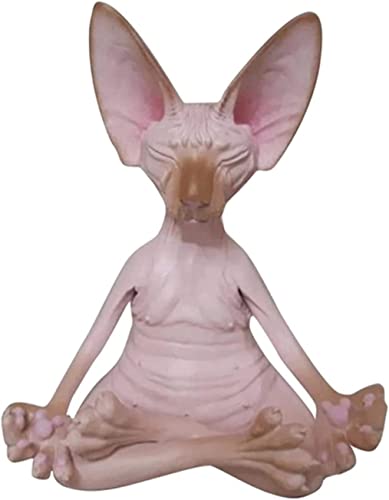 Sphynx Cat for Sale With Breeding Rights