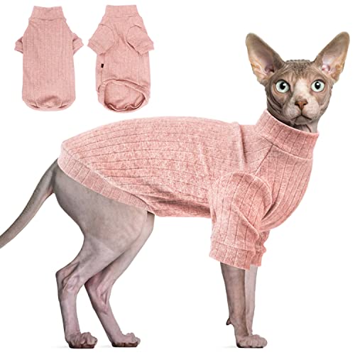 Sphynx Cat With Clothes