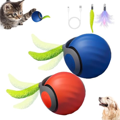 Teazy Cat Toy Review