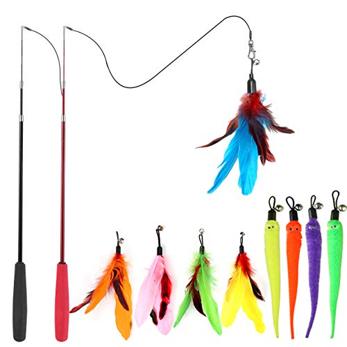 Top Rated Cat Toys