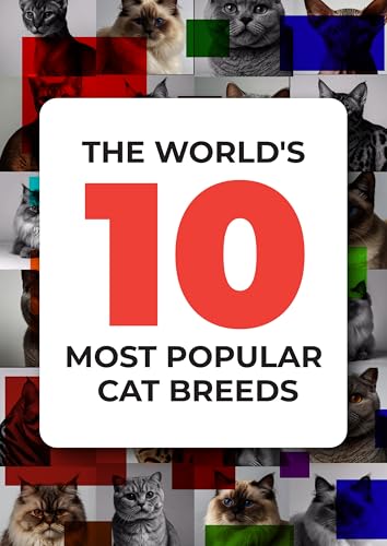 Top Ten Most Popular Cat Breeds