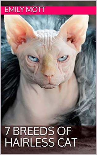 Types of Hairless Cat Breeds