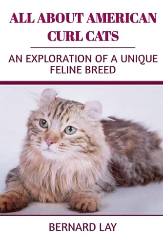 Unique Cat Breeds for Sale