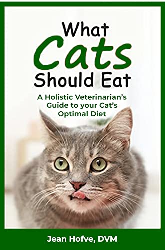 What is the Best Breed of Cat for Me