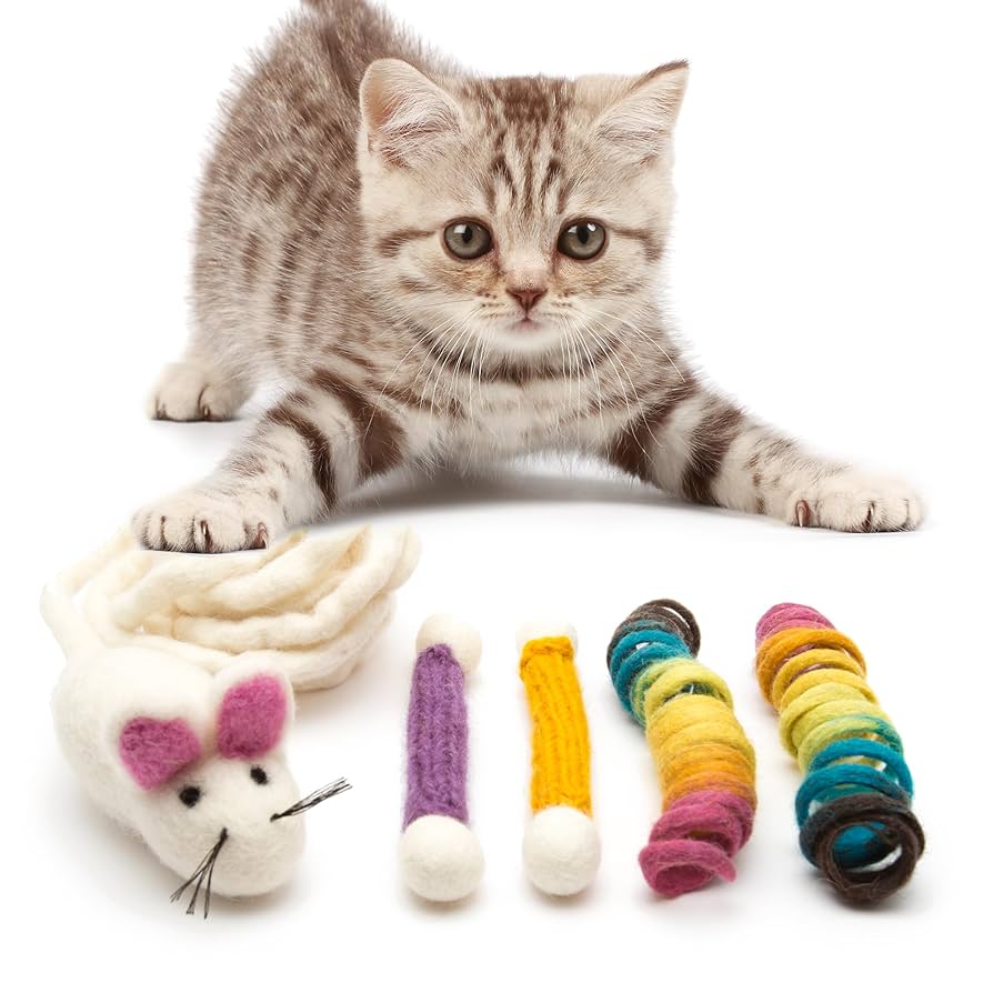 What is the Best Cat Toy