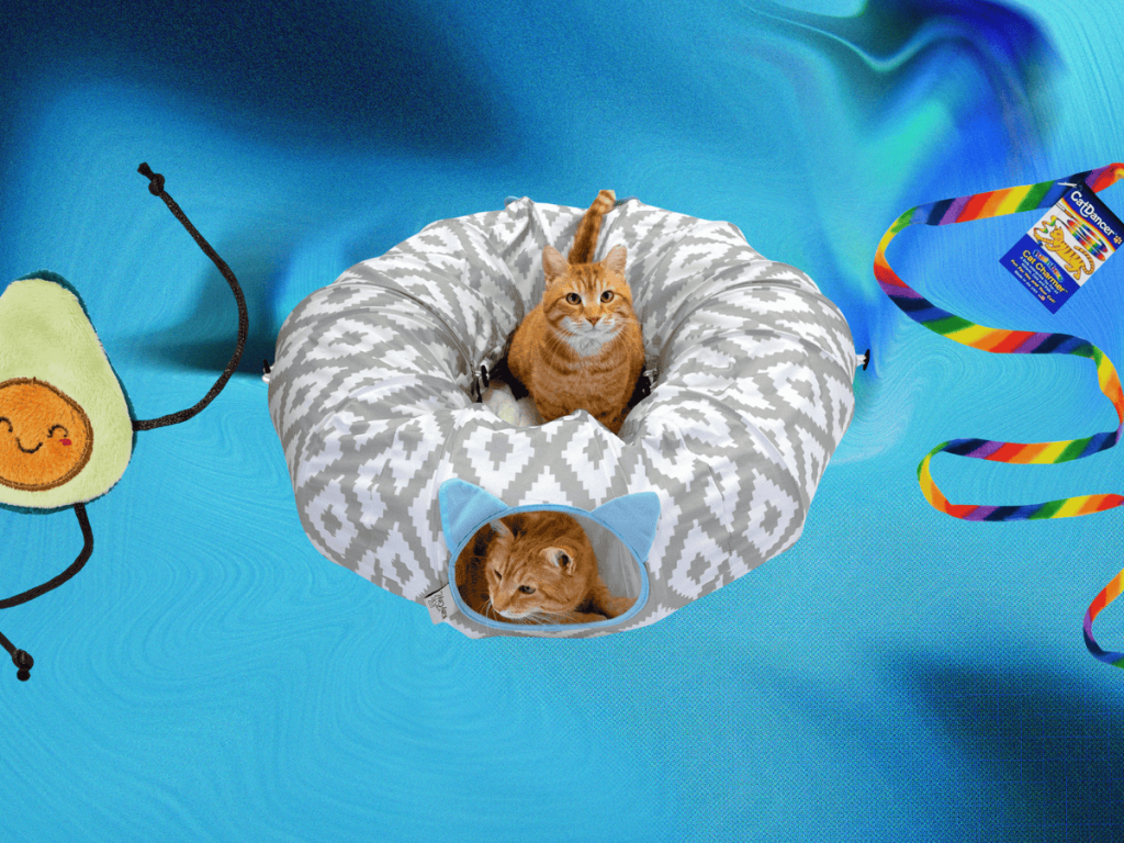 What is the Best Cat Toys