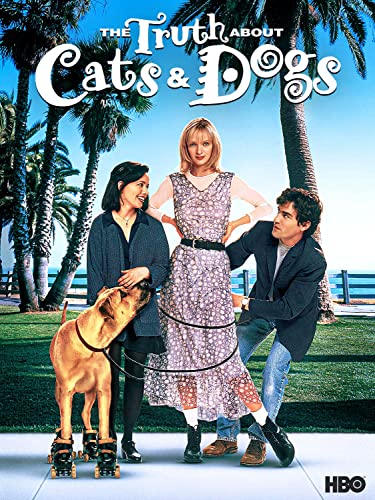 What is the Best Type of Cat