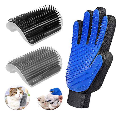 Where to Get My Cat Groomed